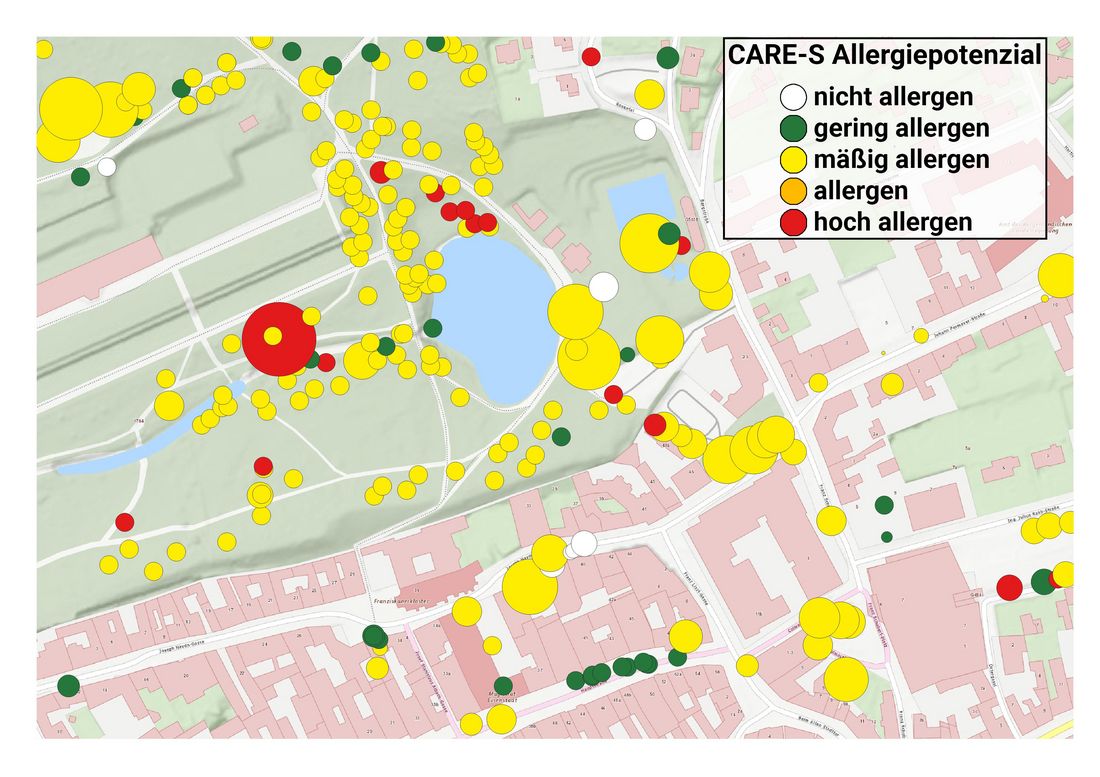 Allergiepotenzial-Baumkataster-Kartenausschnitt von Eisenstadt. Kreisgröße repräsentiert den Baumkronendurchmesser. Datenquellen: Baumkataster von Eisenstadt. Karte: basemap.at
