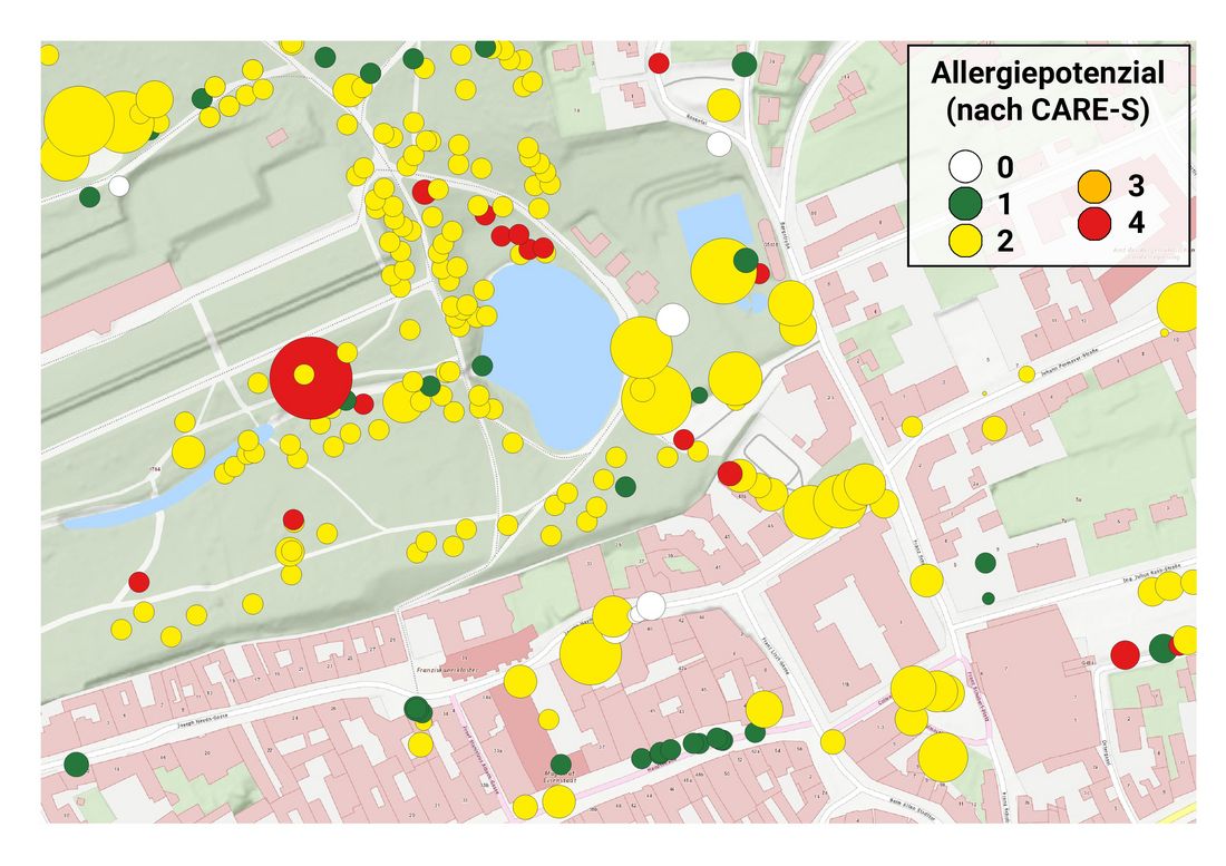 Allergiepotenzial-Baumkataster-Kartenausschnitt von Eisenstadt. Kreisgröße repräsentiert den Baumkronendurchmesser. Datenquellen: Baumkataster von Eisenstadt. Karte: basemap.at